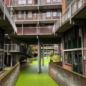 Découverte de Rotterdam, entre modernité et modernité ✌️. #rotterdam